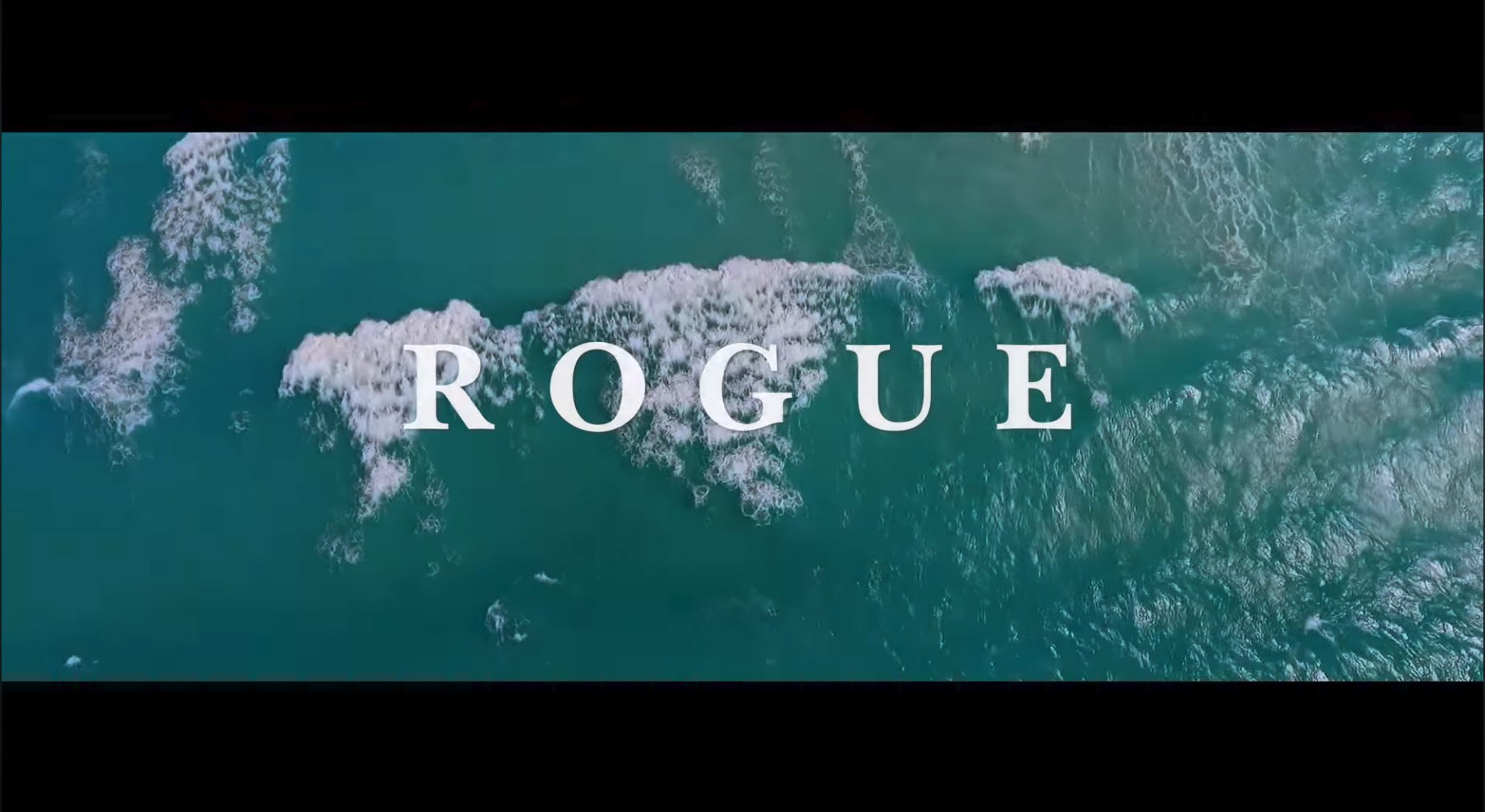 We are ROGUE, Dare to Rogue
